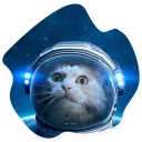 🌎 emoji SpaceCats @StikeryTG Telegram sticker 14 of 25