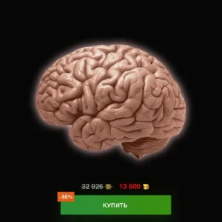 🤩 emoji Пивной Енотик | @BlitzSect Telegram sticker 3 of 28