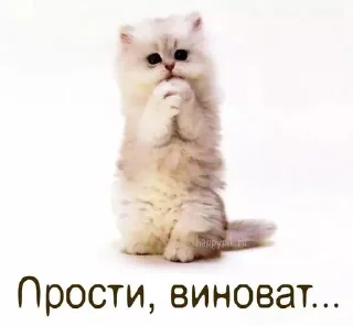 🌟 emoji Взрослый мой🙄🖕💗 Telegram sticker 12 of 31