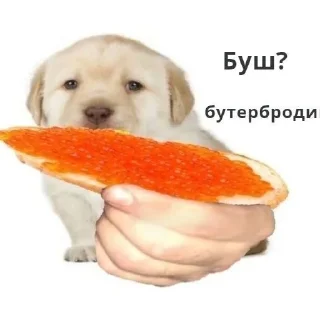 🍏 emoji my hentai porno Telegram sticker 7 of 34
