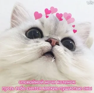 Iovecore webcore ❤️ sticker preview 4