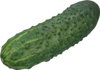 Sticker from 🥒