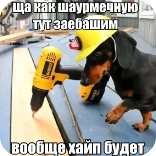 🐶 emoji Ыыаыаыаып Telegram sticker 16 of 56