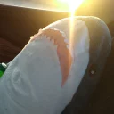 🦈 emoji ikeashark @IMG2D Telegram sticker 22 of 38