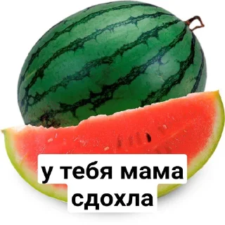 🍉 emoji даун @zagadochniyburgerdaun Telegram sticker 10 of 120