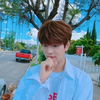 🐶 emoji →Kim Seungmin | @SeungminSKZ Telegram sticker 20 of 48