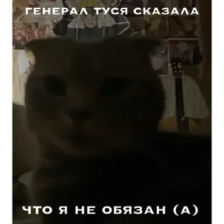 😌 emoji генерал туся Telegram sticker 17 of 64