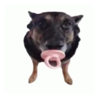 👶 emoji туся вахуи Telegram sticker 12 of 16