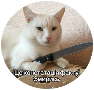 🔪 emoji Friends Telegram sticker 22 of 117