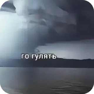 Sticker from Го гулять? @Ar4ech