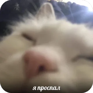 🫥 emoji Китики Telegram sticker 17 of 50