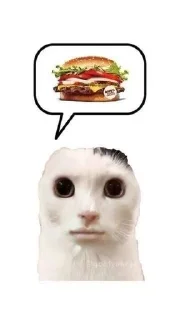 🍔 emoji Много кошее Telegram sticker 5 of 21