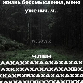 🌟 emoji Нишевые мемы Дианы Telegram sticker 22 of 120