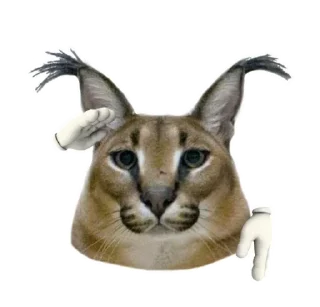 ✋ emoji Big Floppa @homolvdens Telegram sticker 17 of 69