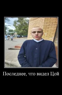 🌟 emoji Рандомные фотки Telegram sticker 13 of 59