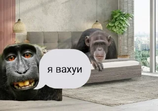 🥺 emoji вахуи (by emil) Telegram sticker 20 of 45