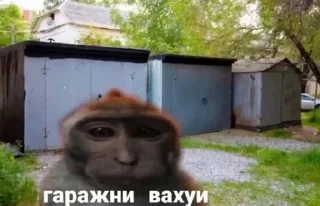 🚬 emoji вахуи (by emil) Telegram sticker 10 of 45