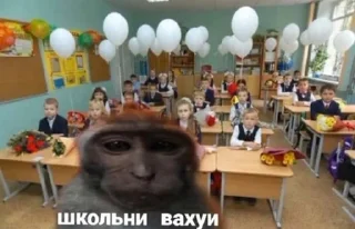 🥸 emoji вахуи (by emil) Telegram sticker 9 of 45