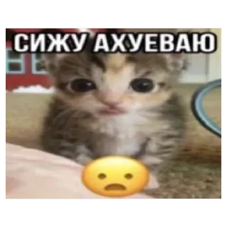 🫥 emoji к ноге Telegram sticker 6 of 69