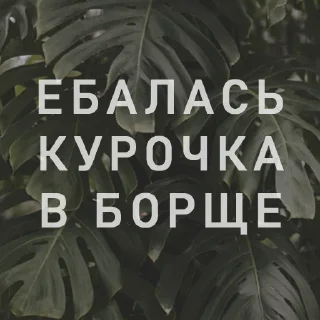 🐓 emoji Вайсманяткин вайб Telegram sticker 8 of 38