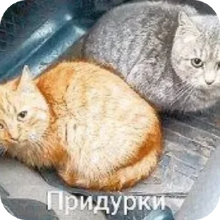 🌟 emoji О боже робот сучара Telegram sticker 17 of 70