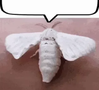 💀 emoji О боже робот сучара Telegram sticker 2 of 70