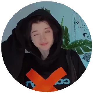 😡 emoji Сашуля Telegram sticker 20 of 27