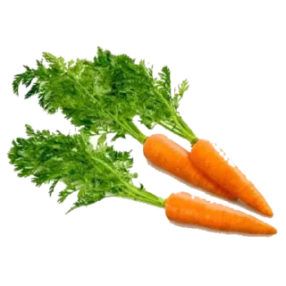 🥕 emoji Еда: @Pea4_stickerbot Telegram sticker 23 of 96