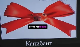 Sticker from Капибари мутанти🫡