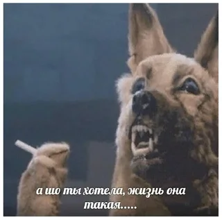 🚬 emoji Всратые картинки с текстом Telegram sticker 21 of 120