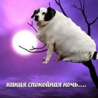 🌚 emoji ЕБАТЬ ВСРАТЫШИ Telegram sticker 9 of 50