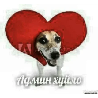 ♥️ emoji @casualsongsss музыка🖤 Telegram sticker 5 of 119