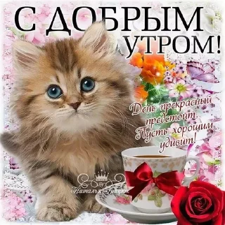 🌟 emoji отброс общества Telegram sticker 14 of 114