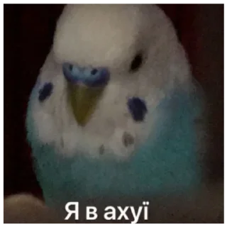 😉 emoji Укр Telegram sticker 23 of 26