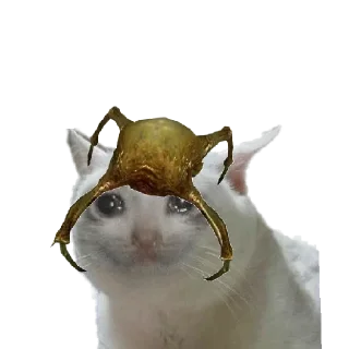 😄 emoji ТАРН ДАУН ФОР ВАТ Telegram sticker 1 of 54