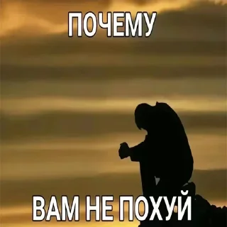 ❔ emoji УТКИН#ТЕКСТ Telegram sticker 11 of 69
