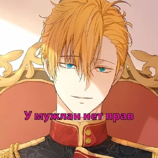 😘 emoji У мужла прав нет, стики для са Telegram sticker 19 of 35