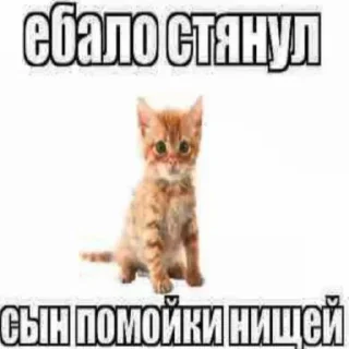 😸 emoji стерильный мазохизм :: @rinakkmsk Telegram sticker 20 of 120