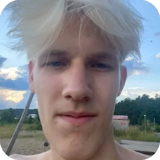 🫥 emoji дарина Telegram sticker 5 of 9