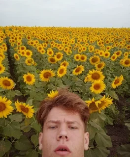 🌻 emoji АХУЕТЬ Telegram sticker 22 of 36