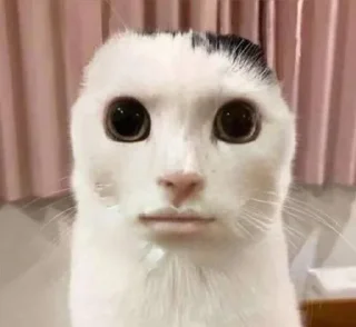 🌟 emoji Аааа3 Telegram sticker 10 of 94