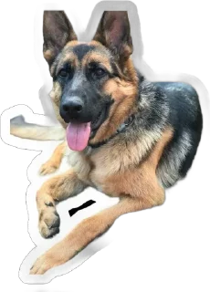 🌟 emoji Gerda_dog🐺 Telegram sticker 14 of 38