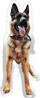 🌟 emoji Gerda_dog🐺 Telegram sticker 15 of 38