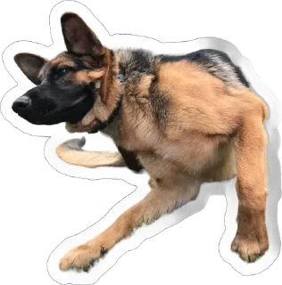 🌟 emoji Gerda_dog🐺 Telegram sticker 13 of 38