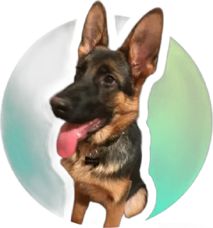 🌟 emoji Gerda_dog🐺 Telegram sticker 5 of 38