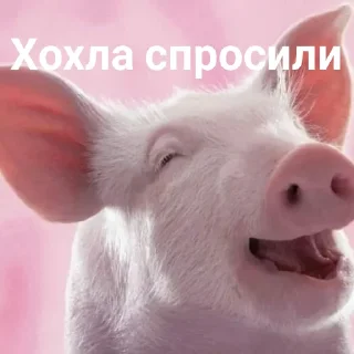 🐖 emoji слова великих людей Telegram sticker 14 of 88