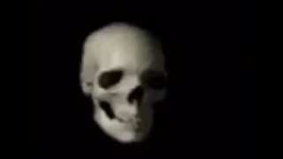 Sticker from Skeletons