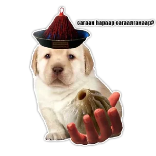 🥺 emoji БУРЯТСКИЙ АНДЕГРАУНД Telegram sticker 16 of 31