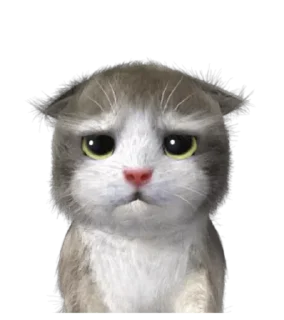 👇 emoji @TVstickers Kitten Telegram sticker 23 of 40