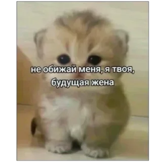 Sticker from пуки каки